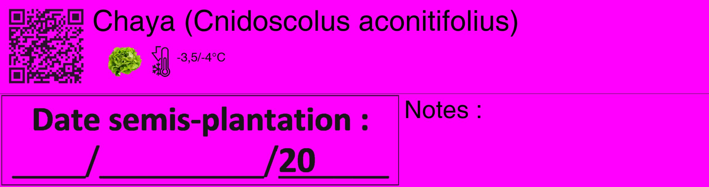 Étiquette de : Cnidoscolus aconitifolius - format c - style noire51_basique_basiquehel avec qrcode et comestibilité simplifiée