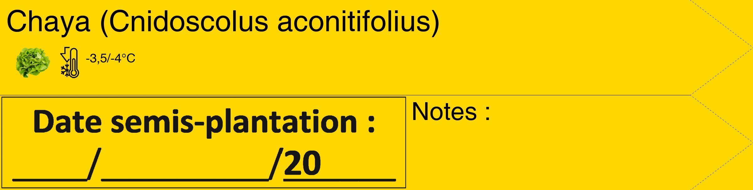 Étiquette de : Cnidoscolus aconitifolius - format c - style noire21_simple_simplehel avec comestibilité simplifiée