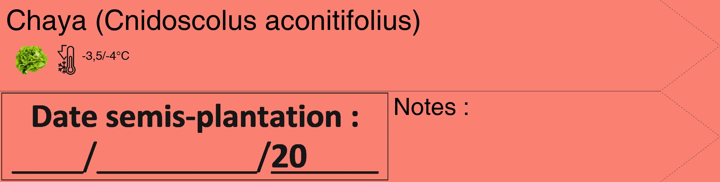 Étiquette de : Cnidoscolus aconitifolius - format c - style noire38_simple_simplehel avec comestibilité simplifiée
