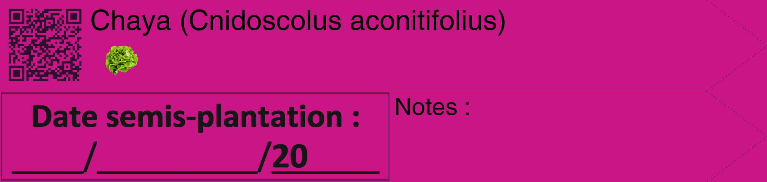 Étiquette de : Cnidoscolus aconitifolius - format c - style noire45_simple_simplehel avec qrcode et comestibilité simplifiée