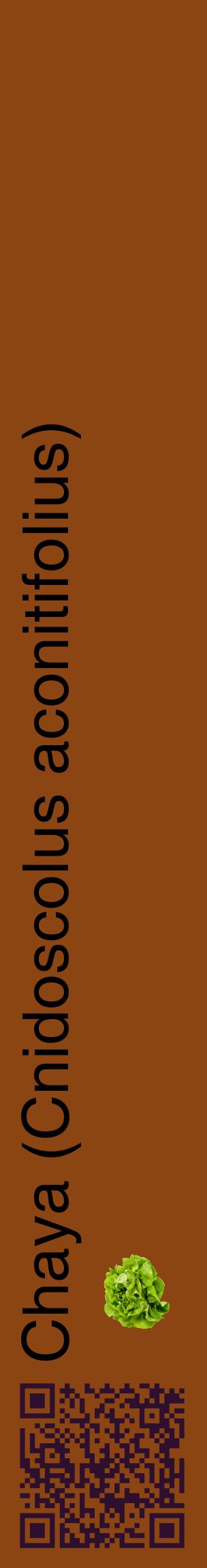 Étiquette de : Cnidoscolus aconitifolius - format c - style noire30_basiquehel avec qrcode et comestibilité simplifiée