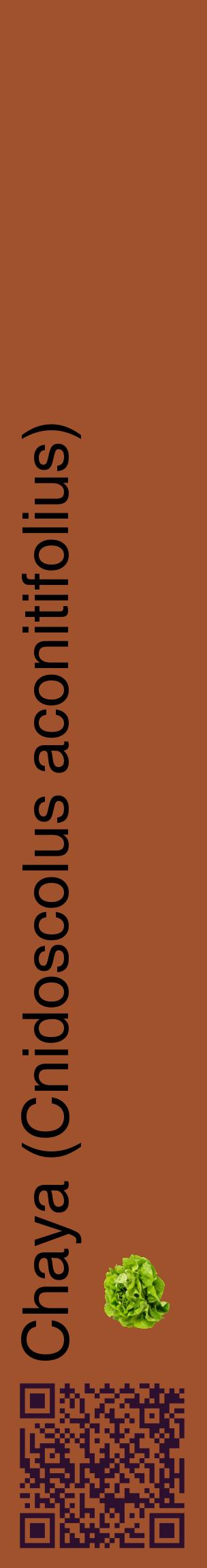 Étiquette de : Cnidoscolus aconitifolius - format c - style noire32_basiquehel avec qrcode et comestibilité simplifiée