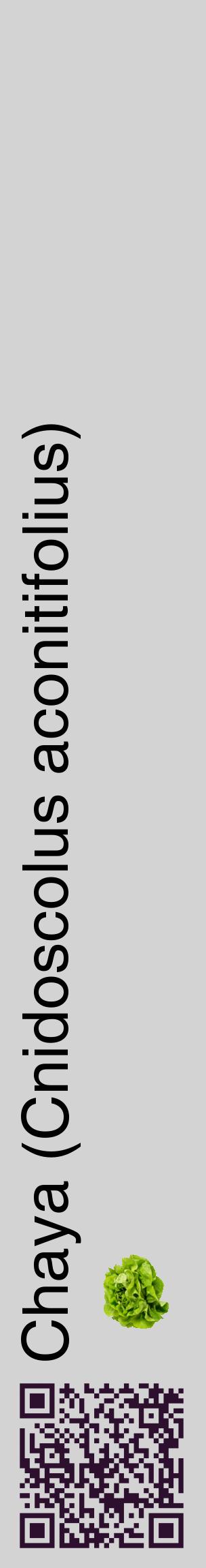 Étiquette de : Cnidoscolus aconitifolius - format c - style noire56_basiquehel avec qrcode et comestibilité simplifiée