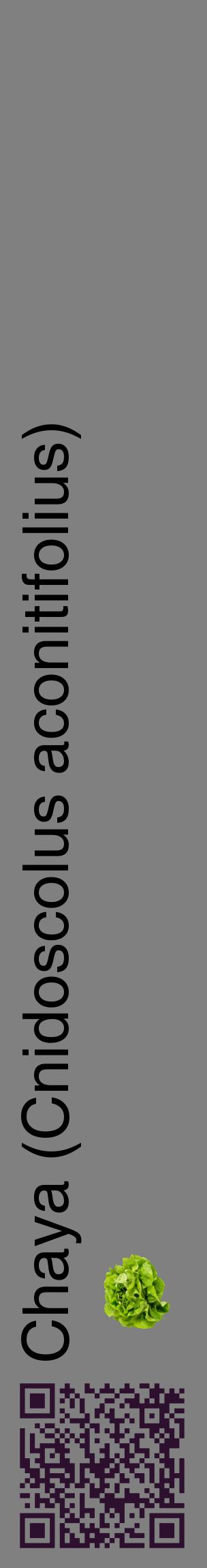 Étiquette de : Cnidoscolus aconitifolius - format c - style noire57_basiquehel avec qrcode et comestibilité simplifiée