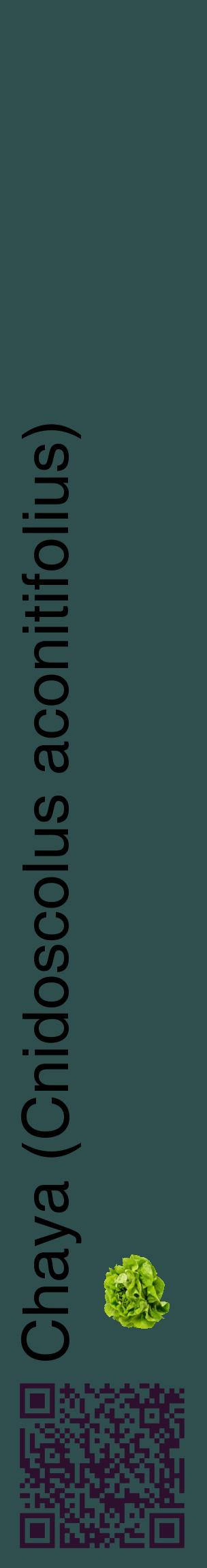 Étiquette de : Cnidoscolus aconitifolius - format c - style noire58_basiquehel avec qrcode et comestibilité simplifiée