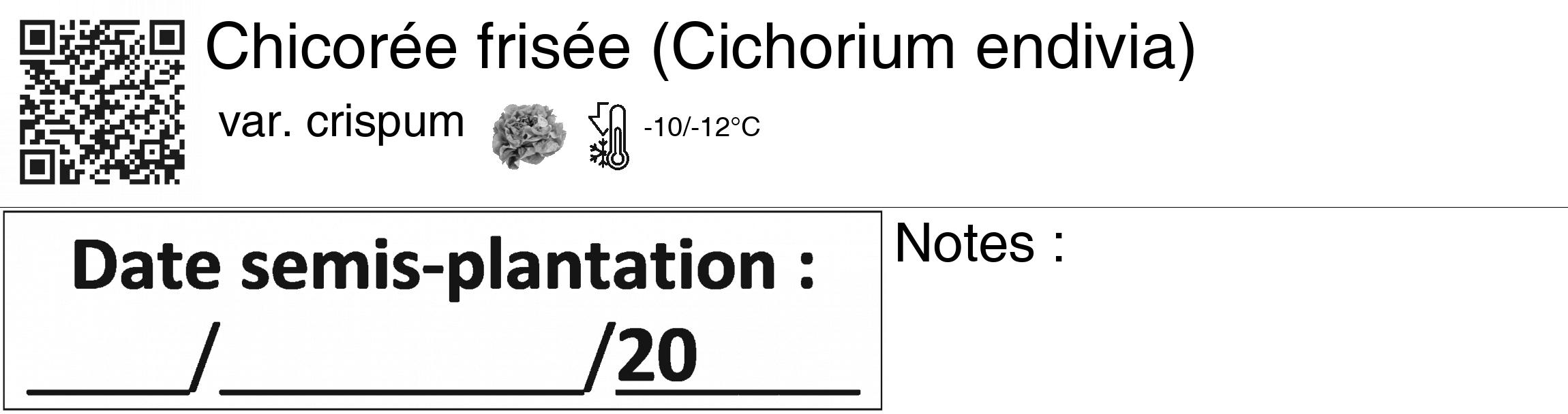 Étiquette de : Cichorium endivia var. crispum - format c - style noire60_basiquegrrvhel avec qrcode et comestibilité simplifiée