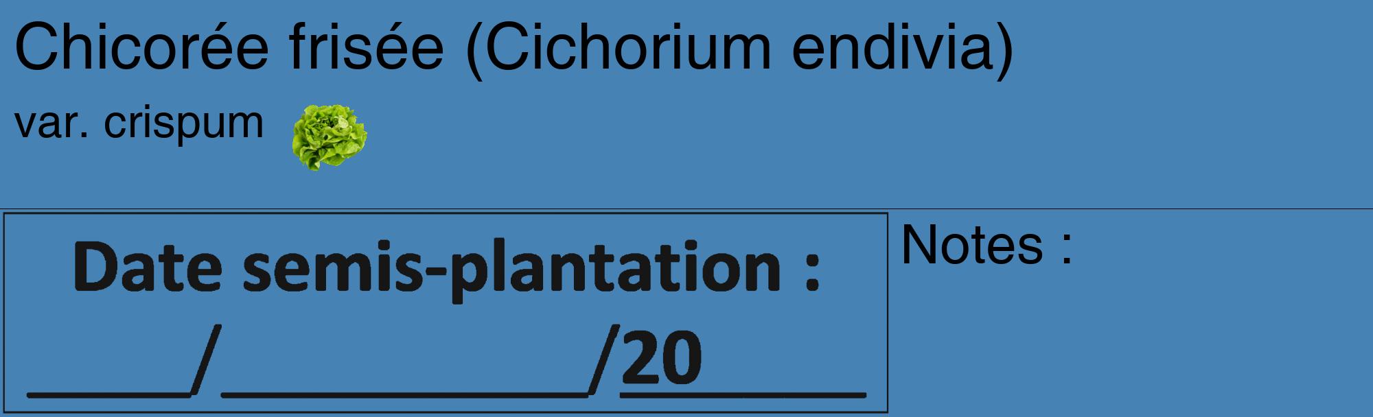 Étiquette de : Cichorium endivia var. crispum - format c - style noire5_basique_basiquehel avec comestibilité simplifiée