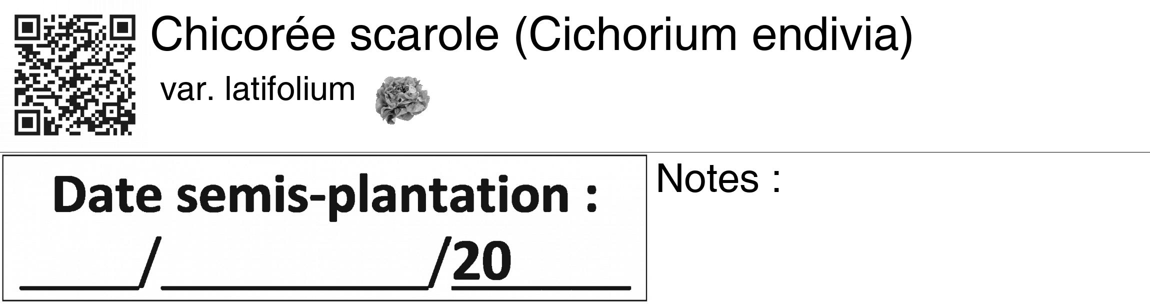 Étiquette de : Cichorium endivia var. latifolium - format c - style noire60_basiquegrrvhel avec qrcode et comestibilité simplifiée