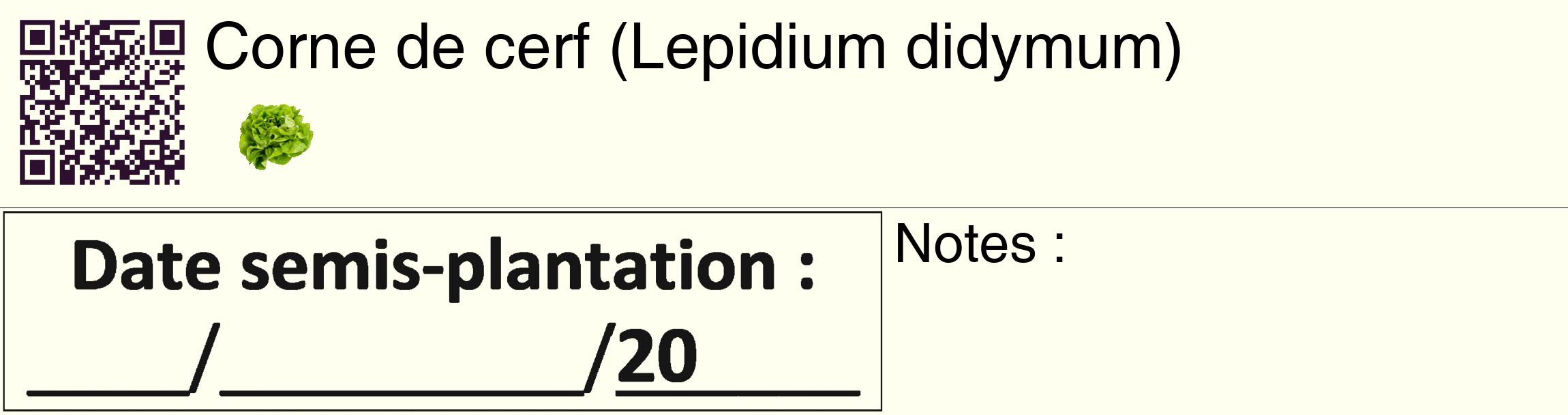 Étiquette de : Lepidium didymum - format c - style noire19_basique_basiquehel avec qrcode et comestibilité simplifiée