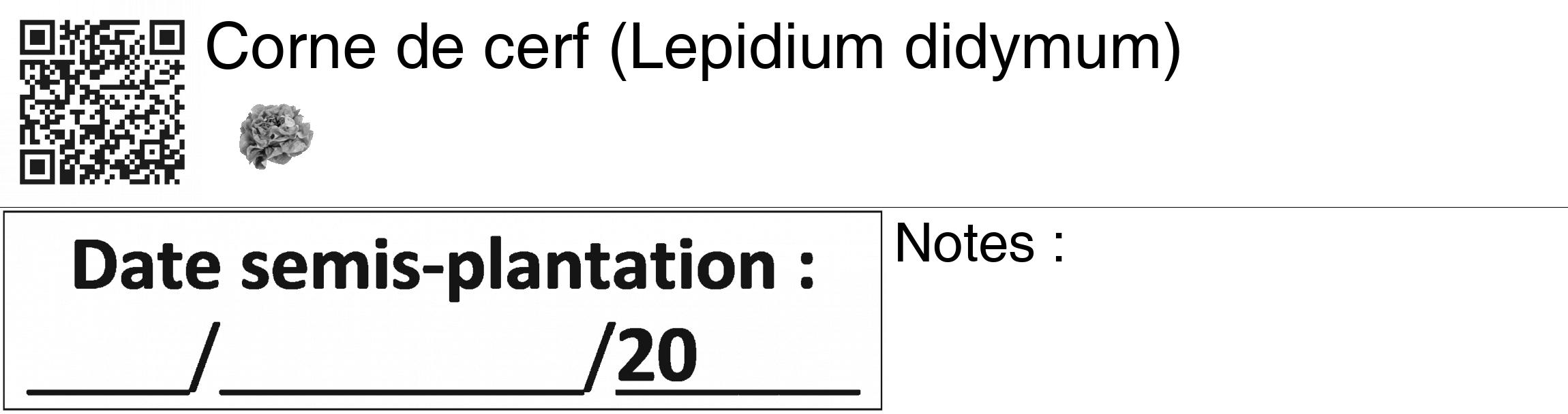 Étiquette de : Lepidium didymum - format c - style noire60_basiquegrrvhel avec qrcode et comestibilité simplifiée