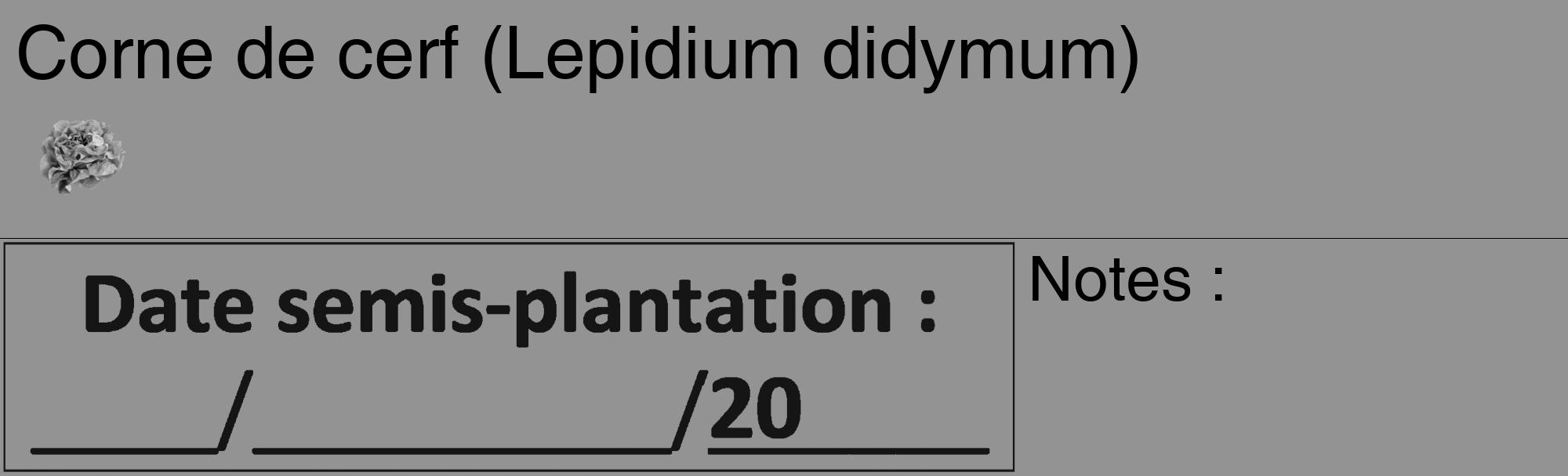 Étiquette de : Lepidium didymum - format c - style noire44_basique_basiquehel avec comestibilité simplifiée