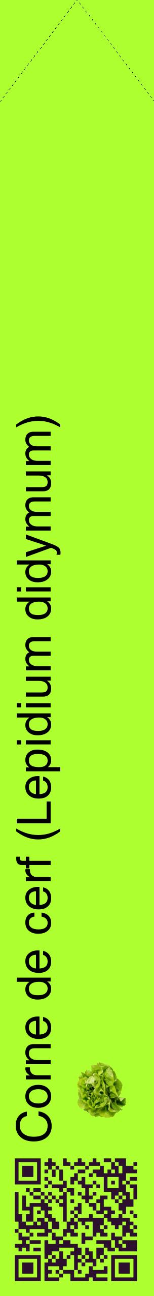 Étiquette de : Lepidium didymum - format c - style noire17_simplehel avec qrcode et comestibilité simplifiée