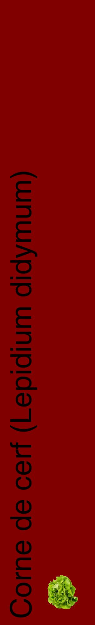 Étiquette de : Lepidium didymum - format c - style noire29_basiquehel avec comestibilité simplifiée