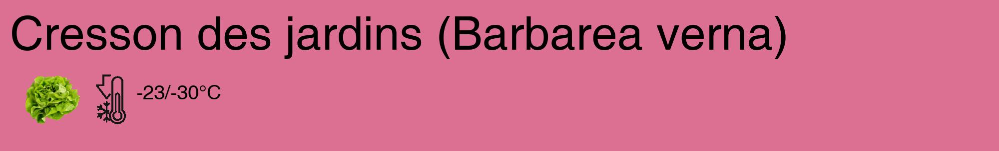 Étiquette de : Barbarea verna - format c - style noire44_basique_basiquehel avec comestibilité simplifiée