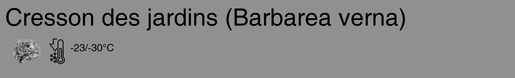 Étiquette de : Barbarea verna - format c - style noire4_basique_basiquehel avec comestibilité simplifiée