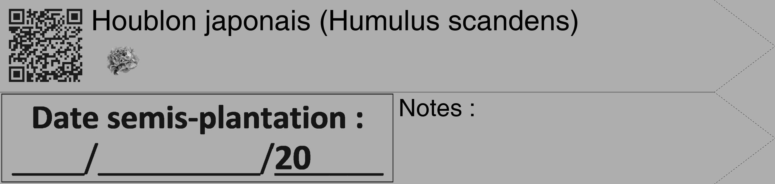 Étiquette de : Humulus scandens - format c - style noire53_simple_simplehel avec qrcode et comestibilité simplifiée