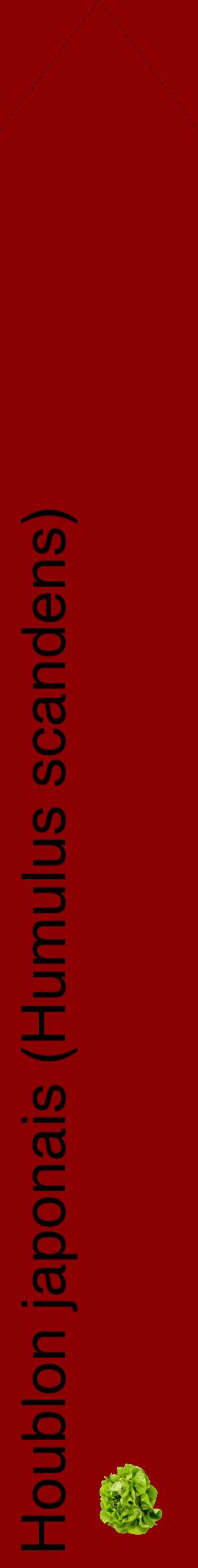 Étiquette de : Humulus scandens - format c - style noire34_simplehel avec comestibilité simplifiée