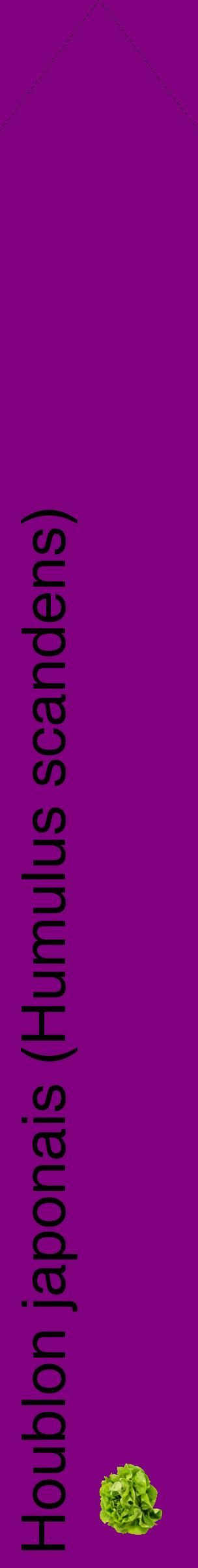 Étiquette de : Humulus scandens - format c - style noire46_simplehel avec comestibilité simplifiée