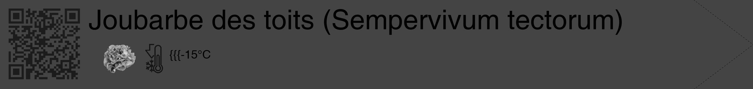 Étiquette de : Sempervivum tectorum - format c - style noire48_simple_simplehel avec qrcode et comestibilité simplifiée