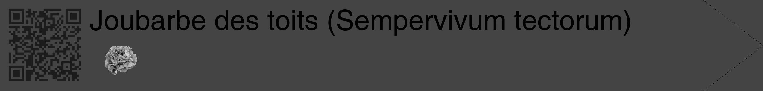 Étiquette de : Sempervivum tectorum - format c - style noire48_simple_simplehel avec qrcode et comestibilité simplifiée
