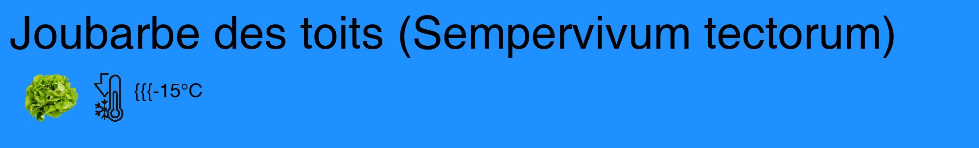 Étiquette de : Sempervivum tectorum - format c - style noire3_basique_basiquehel avec comestibilité simplifiée