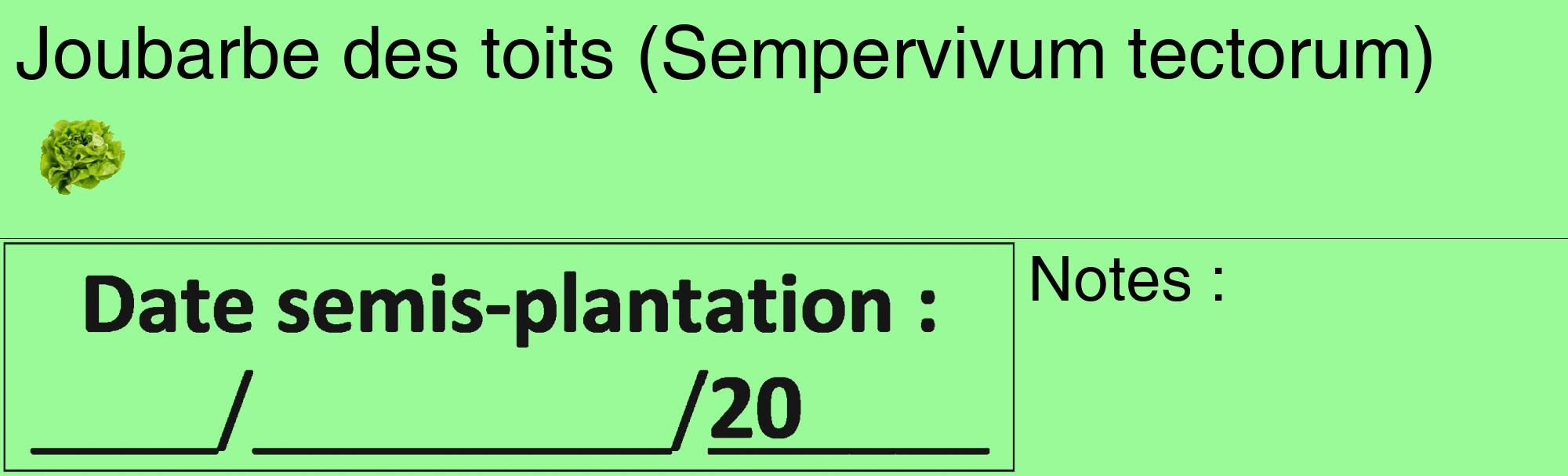 Étiquette de : Sempervivum tectorum - format c - style noire14_basique_basiquehel avec comestibilité simplifiée