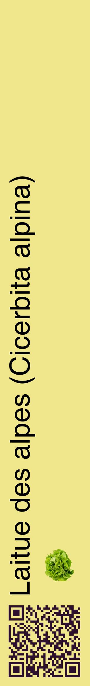Étiquette de : Cicerbita alpina - format c - style noire20_basiquehel avec qrcode et comestibilité simplifiée