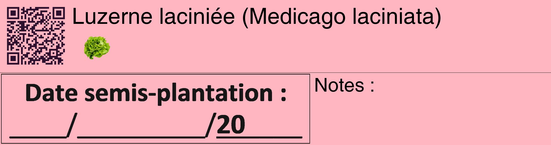 Étiquette de : Medicago laciniata - format c - style noire41_basique_basiquehel avec qrcode et comestibilité simplifiée