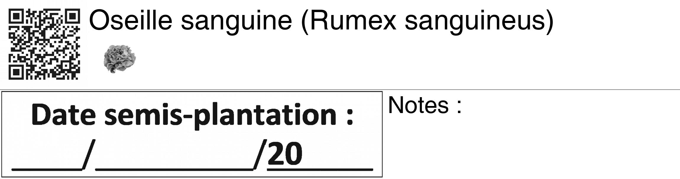 Étiquette de : Rumex sanguineus - format c - style noire60_basiquegrrvhel avec qrcode et comestibilité simplifiée