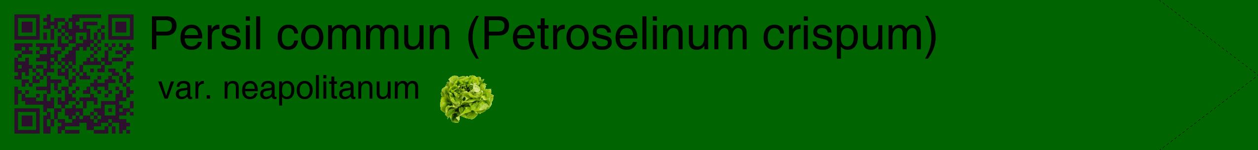 Étiquette de : Petroselinum crispum var. neapolitanum - format c - style noire8simple_simple_simplehel avec qrcode et comestibilité simplifiée