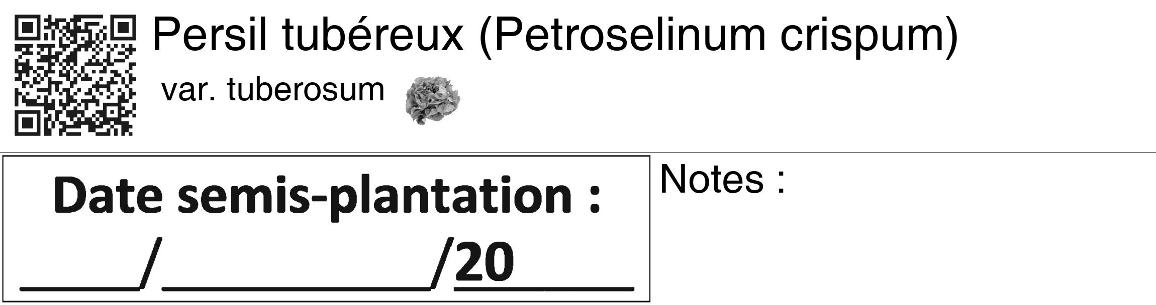 Étiquette de : Petroselinum crispum var. tuberosum - format c - style noire60_basiquegrrvhel avec qrcode et comestibilité simplifiée