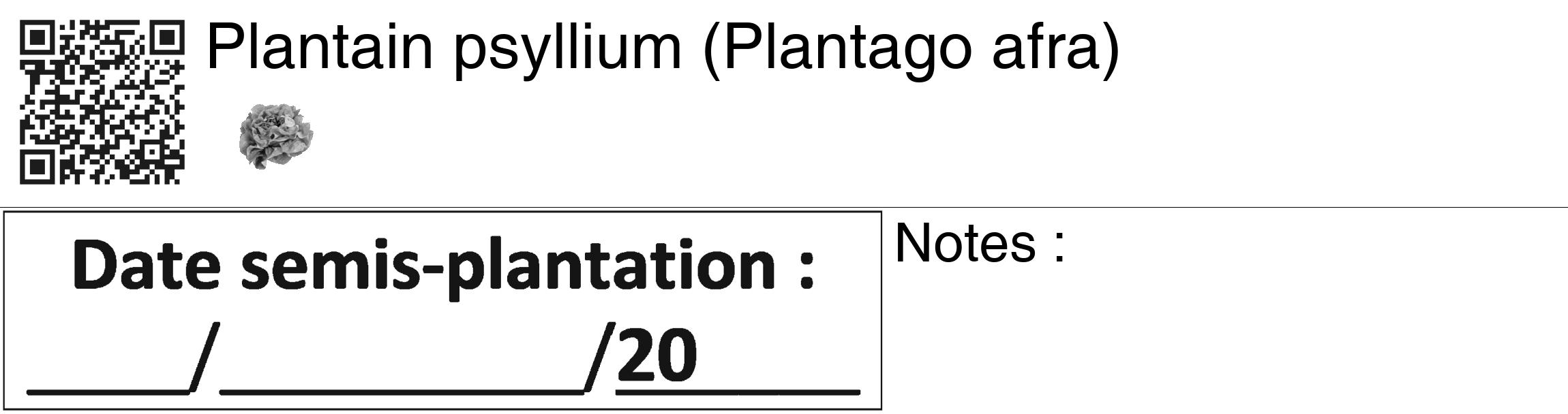 Étiquette de : Plantago afra - format c - style noire60_basiquegrrvhel avec qrcode et comestibilité simplifiée
