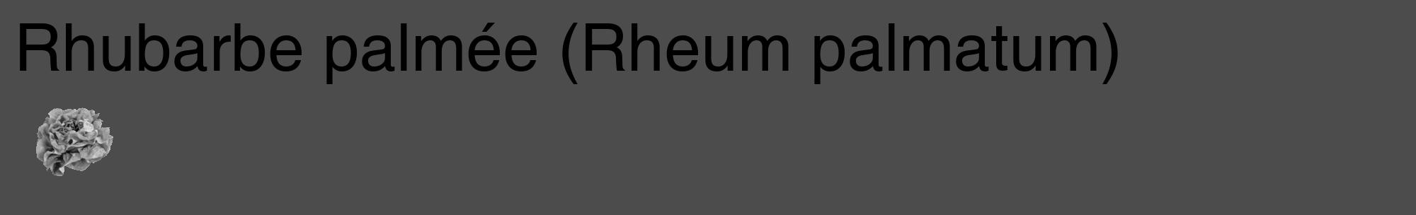 Étiquette de : Rheum palmatum - format c - style noire27_basique_basiquehel avec comestibilité simplifiée