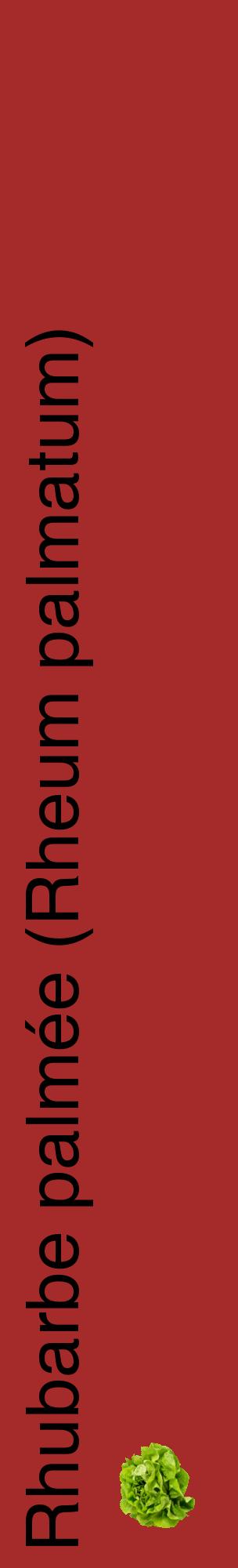Étiquette de : Rheum palmatum - format c - style noire33_basiquehel avec comestibilité simplifiée