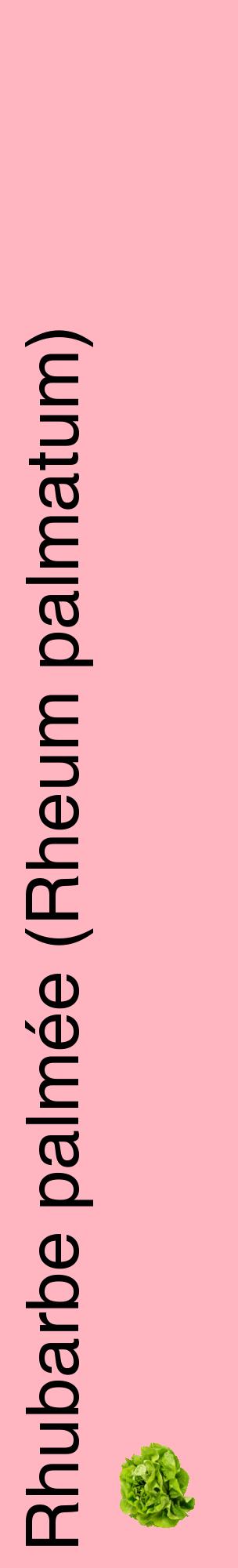 Étiquette de : Rheum palmatum - format c - style noire41_basiquehel avec comestibilité simplifiée