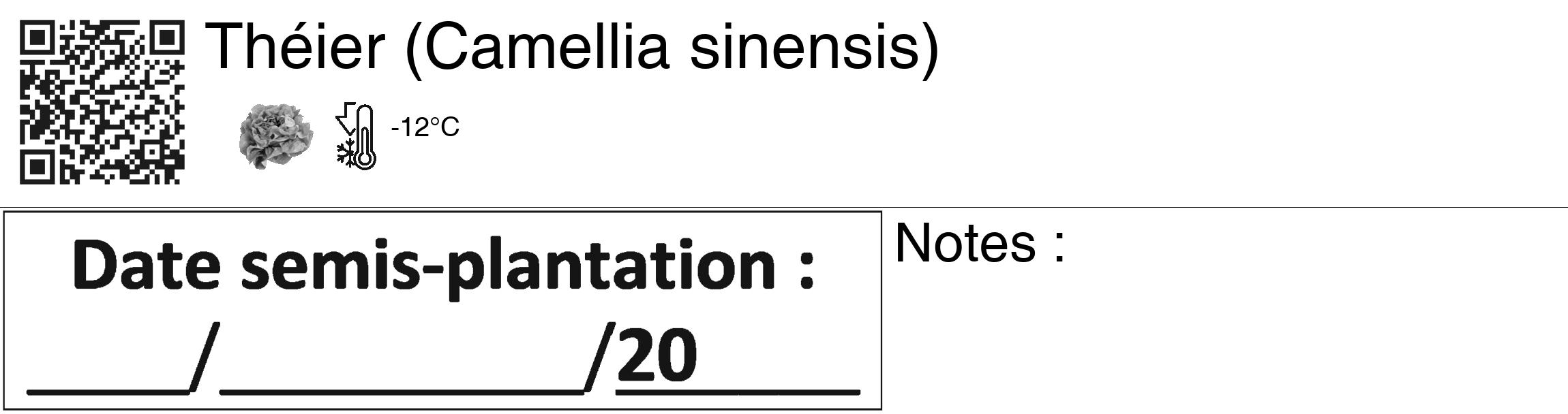 Étiquette de : Camellia sinensis - format c - style noire60_basiquegrrvhel avec qrcode et comestibilité simplifiée