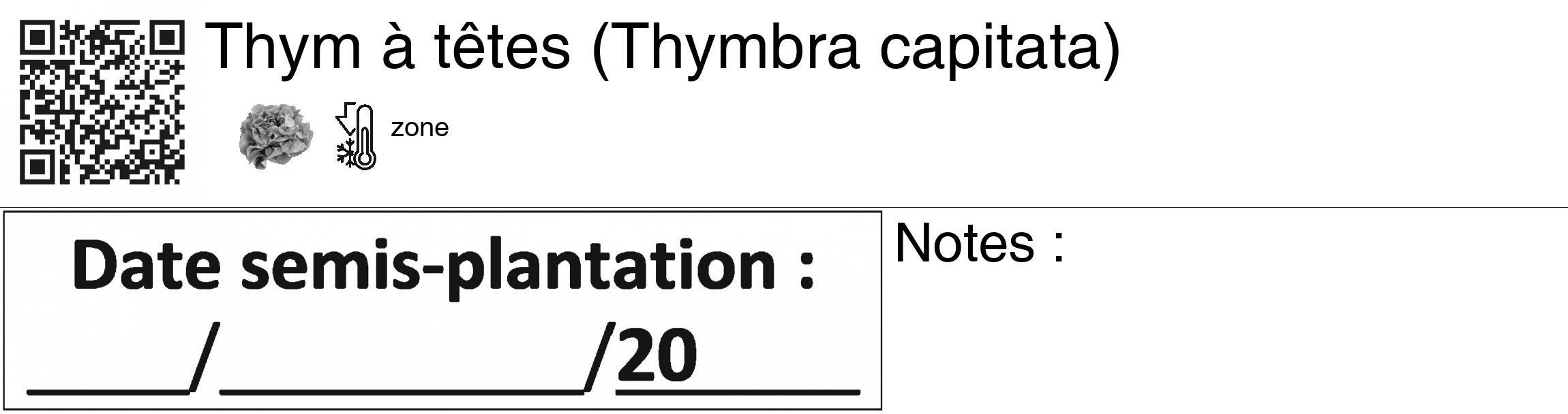Étiquette de : Thymbra capitata - format c - style noire60_basiquegrrvhel avec qrcode et comestibilité simplifiée