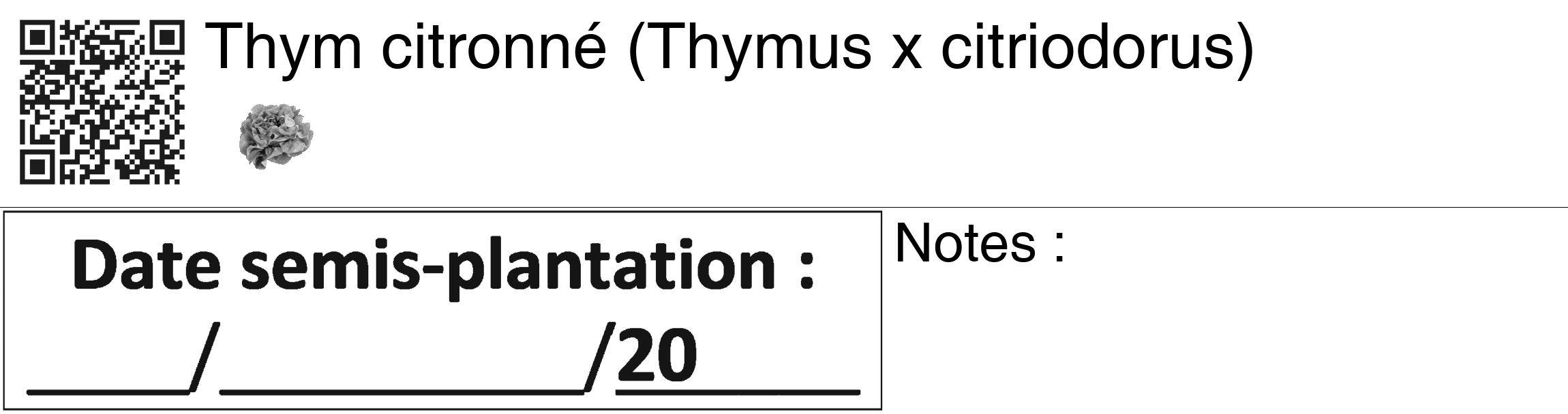 Étiquette de : Thymus x citriodorus - format c - style noire60_basiquegrrvhel avec qrcode et comestibilité simplifiée