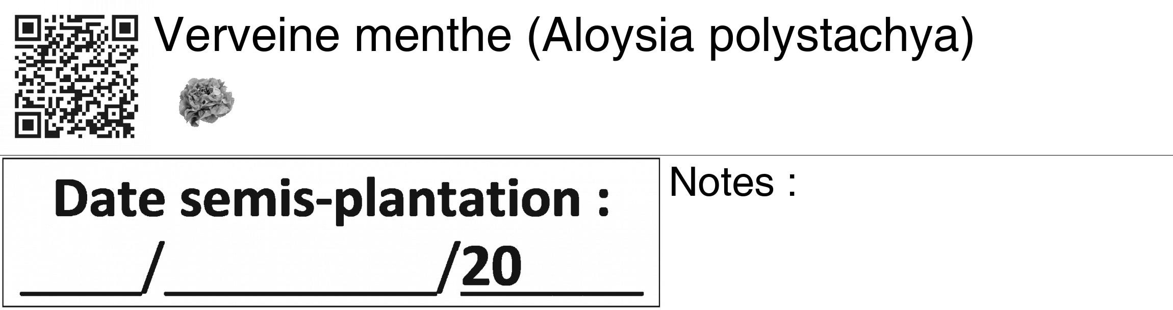 Étiquette de : Aloysia polystachya - format c - style noire60_basiquegrrvhel avec qrcode et comestibilité simplifiée