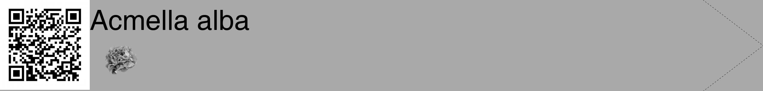 Étiquette de : Acmella alba - format c - style noire13_simple_simplehel avec qrcode et comestibilité simplifiée