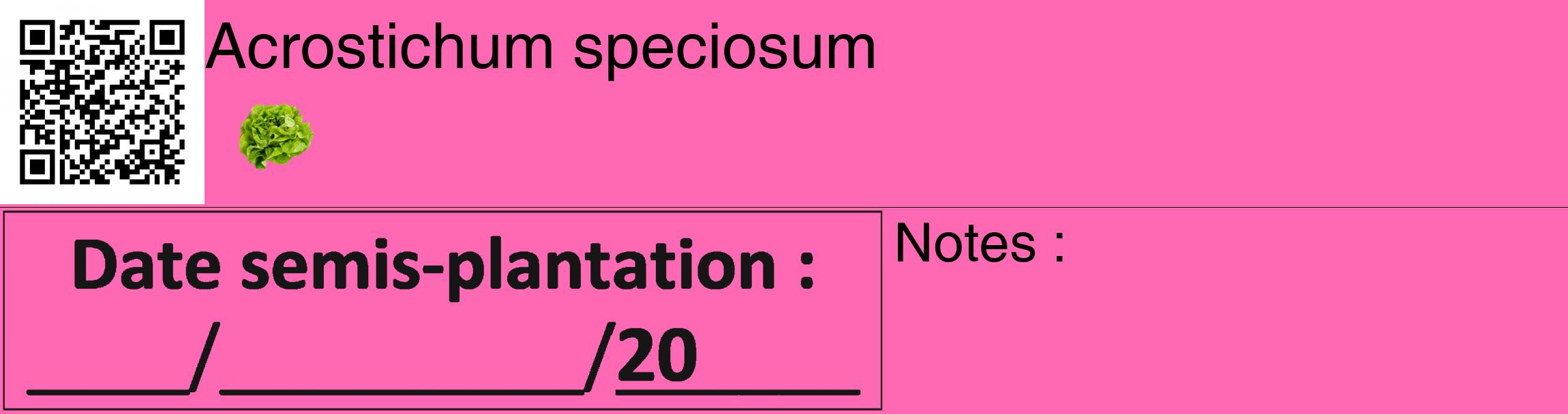 Étiquette de : Acrostichum speciosum - format c - style noire42_basique_basiquehel avec qrcode et comestibilité simplifiée