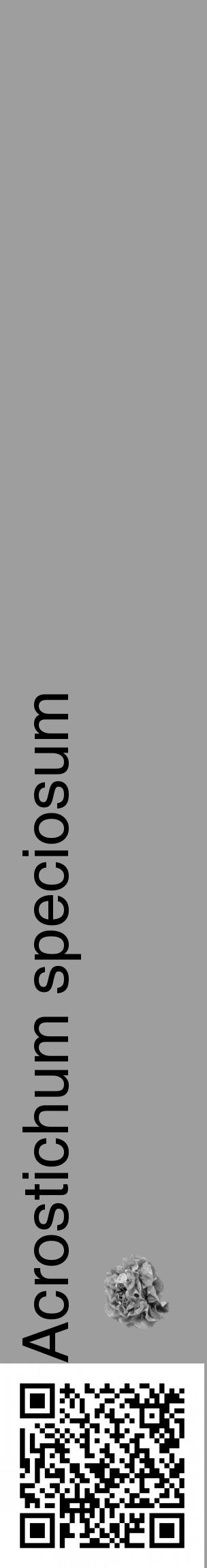 Étiquette de : Acrostichum speciosum - format c - style noire42_basique_basiquehel avec qrcode et comestibilité simplifiée - position verticale