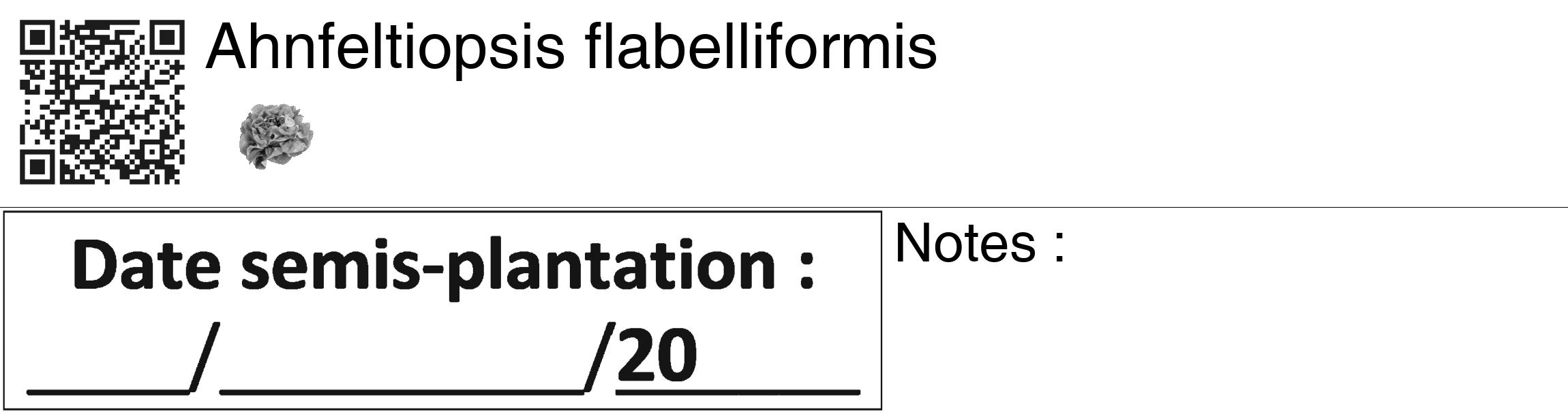 Étiquette de : Ahnfeltiopsis flabelliformis - format c - style noire60_basiquegrrvhel avec qrcode et comestibilité simplifiée