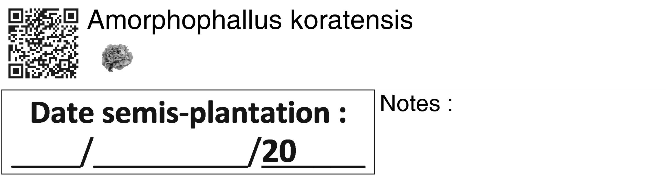 Étiquette de : Amorphophallus koratensis - format c - style noire60_basiquegrrvhel avec qrcode et comestibilité simplifiée