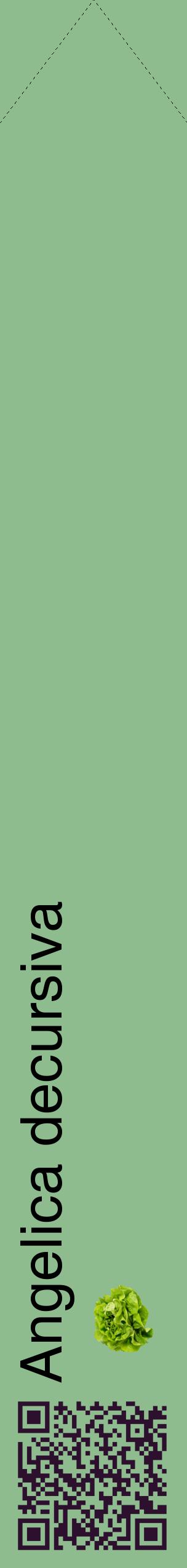 Étiquette de : Angelica decursiva - format c - style noire13_simplehel avec qrcode et comestibilité simplifiée