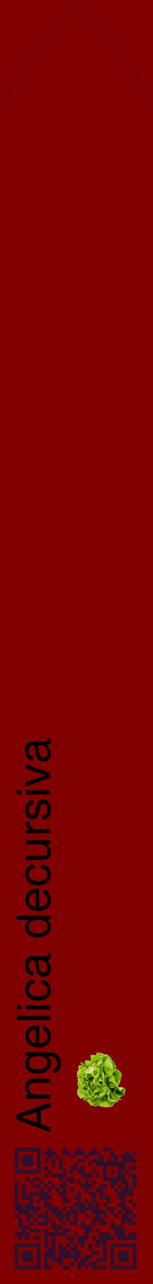 Étiquette de : Angelica decursiva - format c - style noire29_simplehel avec qrcode et comestibilité simplifiée