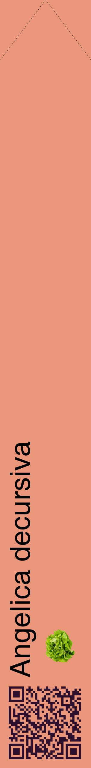 Étiquette de : Angelica decursiva - format c - style noire37_simplehel avec qrcode et comestibilité simplifiée