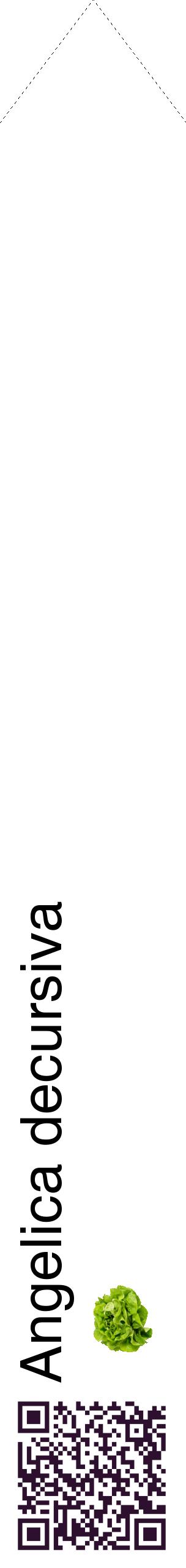 Étiquette de : Angelica decursiva - format c - style noire60_simplehel avec qrcode et comestibilité simplifiée