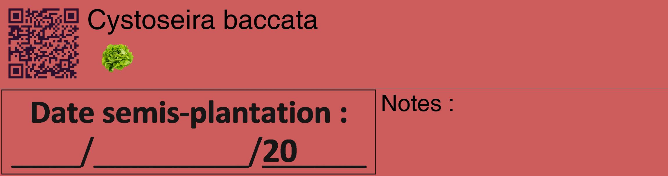 Étiquette de : Cystoseira baccata - format c - style noire35_basique_basiquehel avec qrcode et comestibilité simplifiée