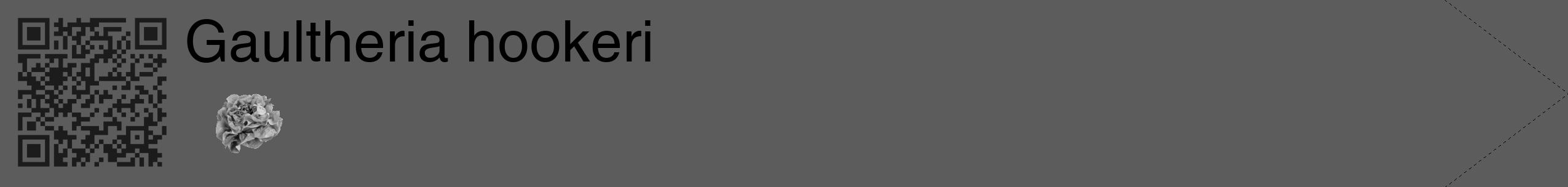 Étiquette de : Gaultheria hookeri - format c - style noire49_simple_simplehel avec qrcode et comestibilité simplifiée